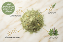 کوکتل پدیکور، کوکتل مانیکور، کوکتل مریم گلی، آنتی میکروبیال، کوکتل اسپا دکتر کاپاریس، ضد بوی پا